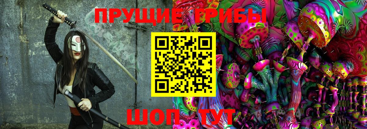 Арсеньев  Галлюциногенные грибы Psilocybe  Вход с VPN 