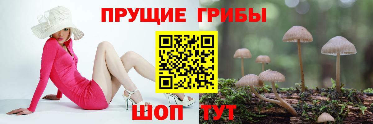Галлюциногенные грибы ЛСД Арсеньев